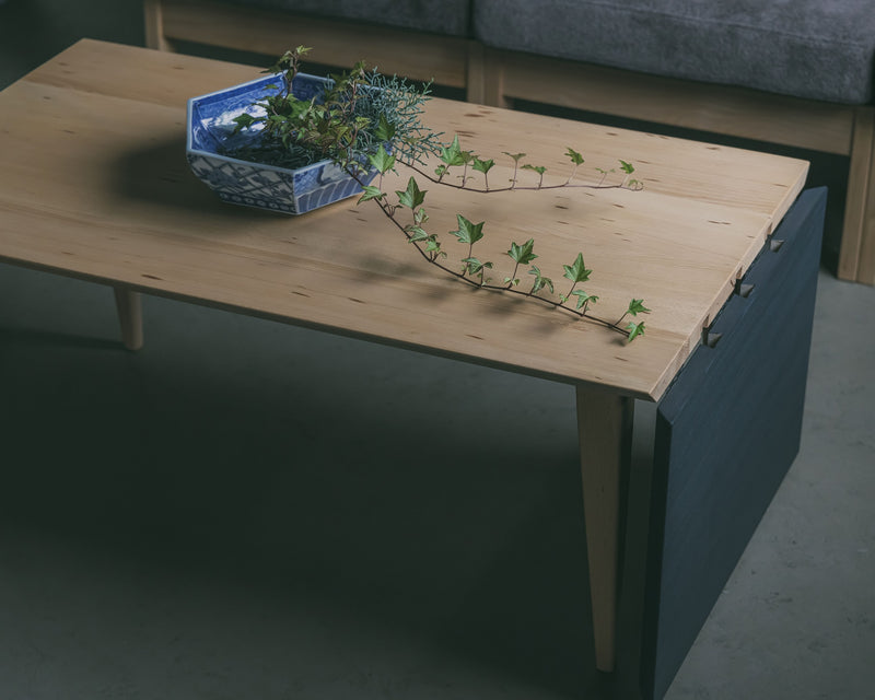 Sara Extension living table